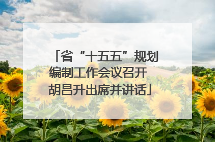 省“十五五”规划编制工作会议召开 胡昌升出席并讲话